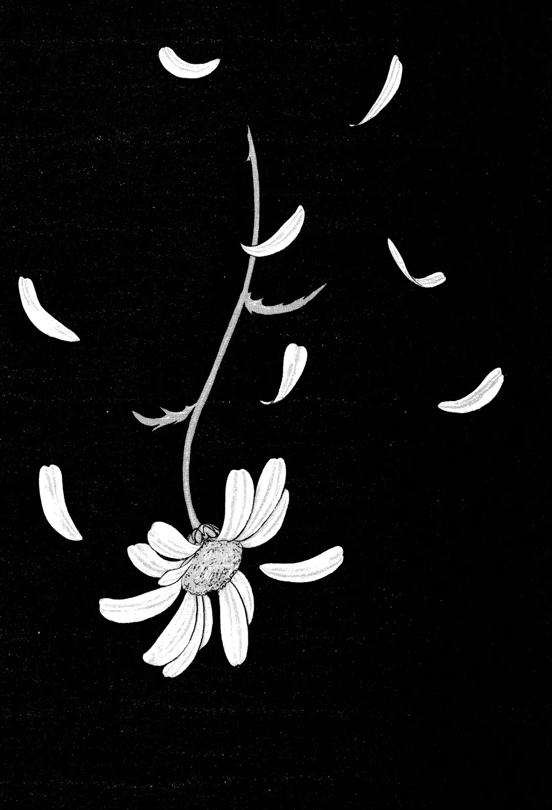 [Mukade Melibe] Burgess' Girls 1: Chapter of Wiwaxia Fhentai - Page 126