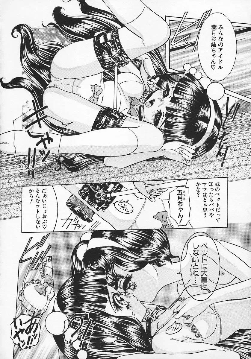 [Chiebii Gyangu] Aigan Shoujo Fhentai - Page 56