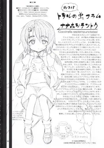 [Kishiri Toworu] Kirisame Marisa no Yuuutsu Fhentai - Page 34