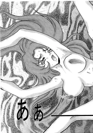 VS-X Fhentai - Page 18