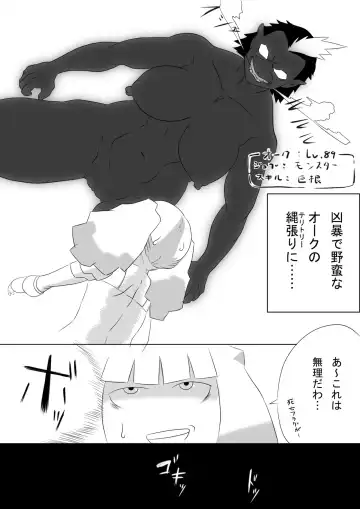 [Kizaru] Youheiya Marie no Junan Fhentai - Page 2