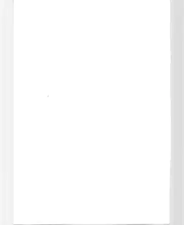 [Chichi Kurage Ss - Seventh - Tachikaze Shuusui] Imasugu Kimi o Buttobase. Fhentai - Page 61