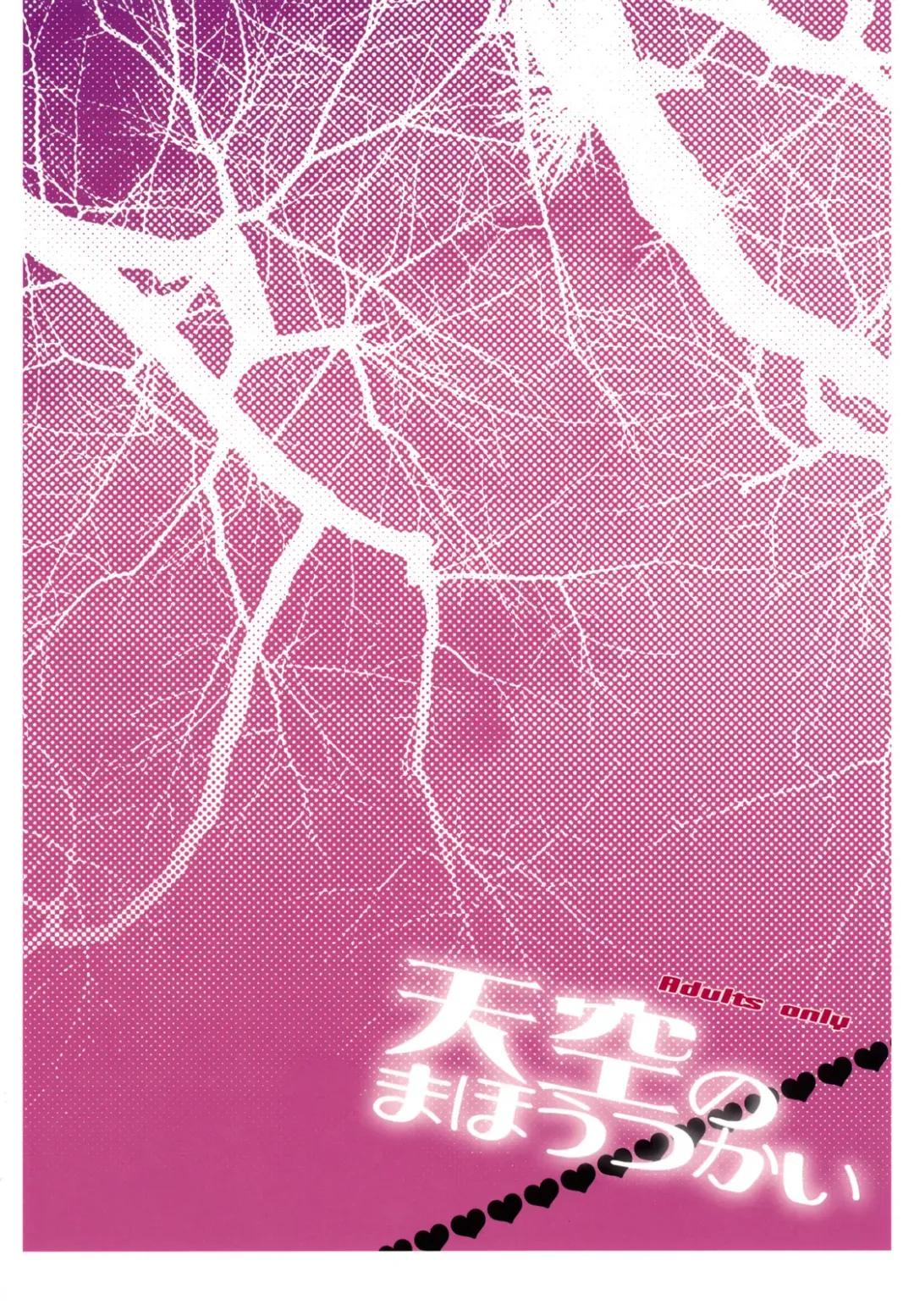 [Cotoji] Tenkuu no Mahoutsukai Fhentai - Page 18