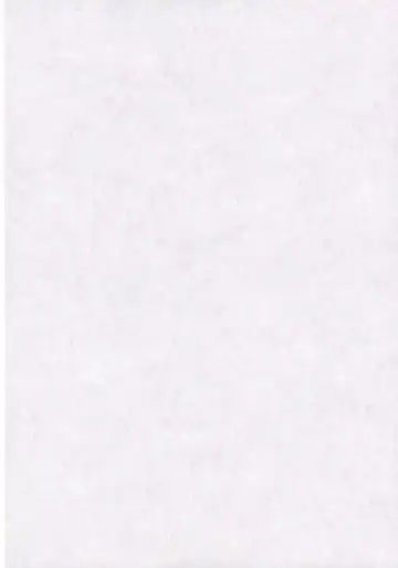 [Yamu] Deluxe Otonamuke Koumakan Fhentai - Page 2