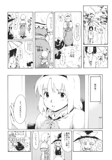 [Fujiwara Shunichi] Touhou Ukiyo Emaki "Remember☆Alice" ～Memento Alice～ Fhentai.net - Page 8