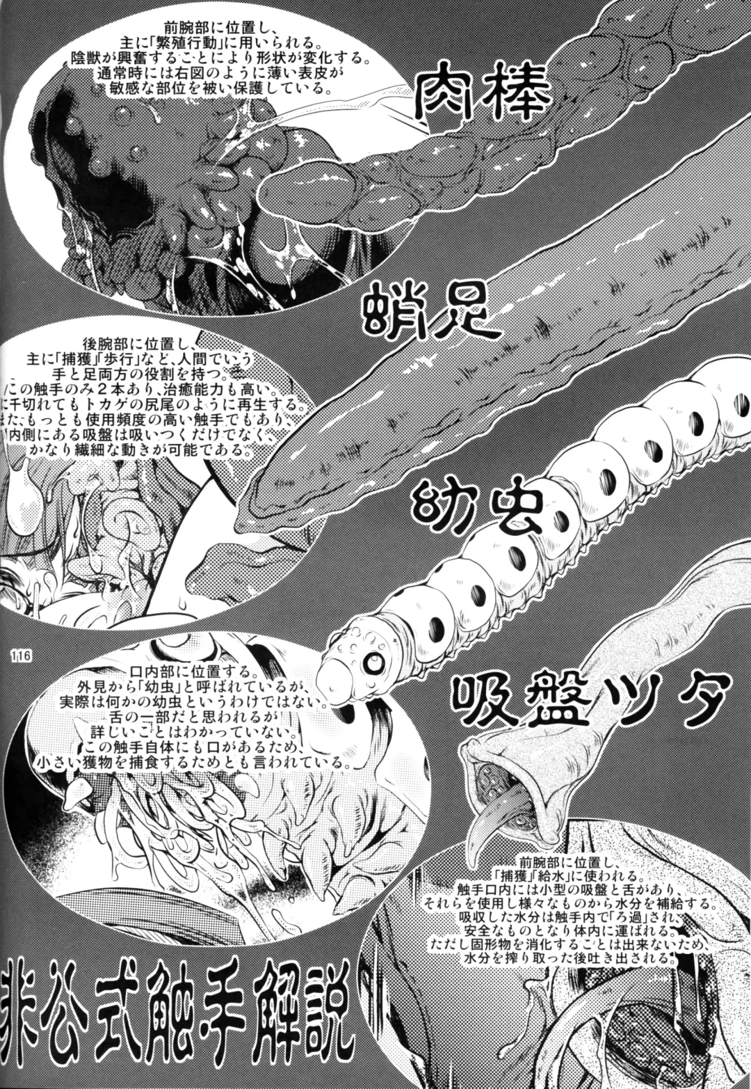 [Miharu] FD Fhentai - Page 114