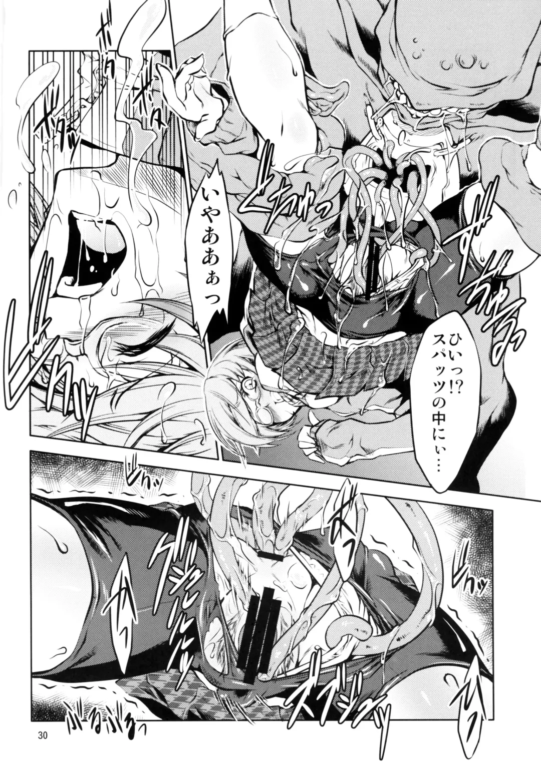 [Miharu] FD Fhentai - Page 29