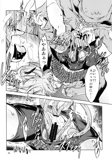 [Miharu] FD Fhentai - Page 29