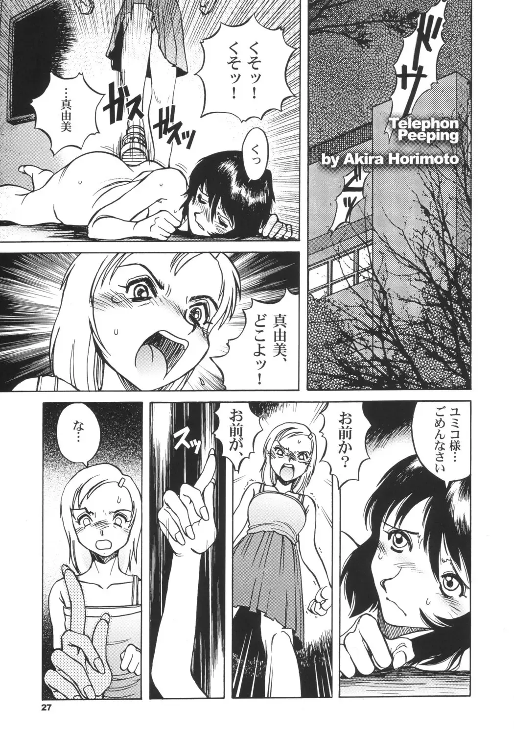 [Horimoto Akira - Sou Akiko] DLL Server 2003 Fhentai.net - Page 26