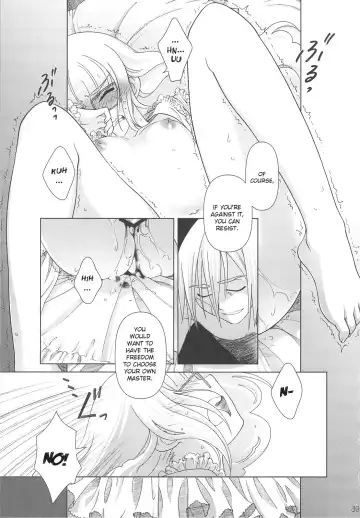 [Ootsuka Mahiro] SS IV - Die stärkste "SS" Fhentai - Page 37