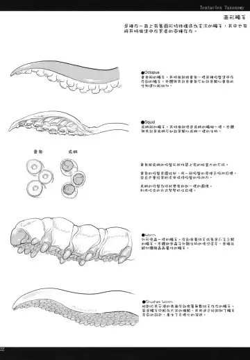 [Z-ton] LIMB LEGION Fhentai - Page 21