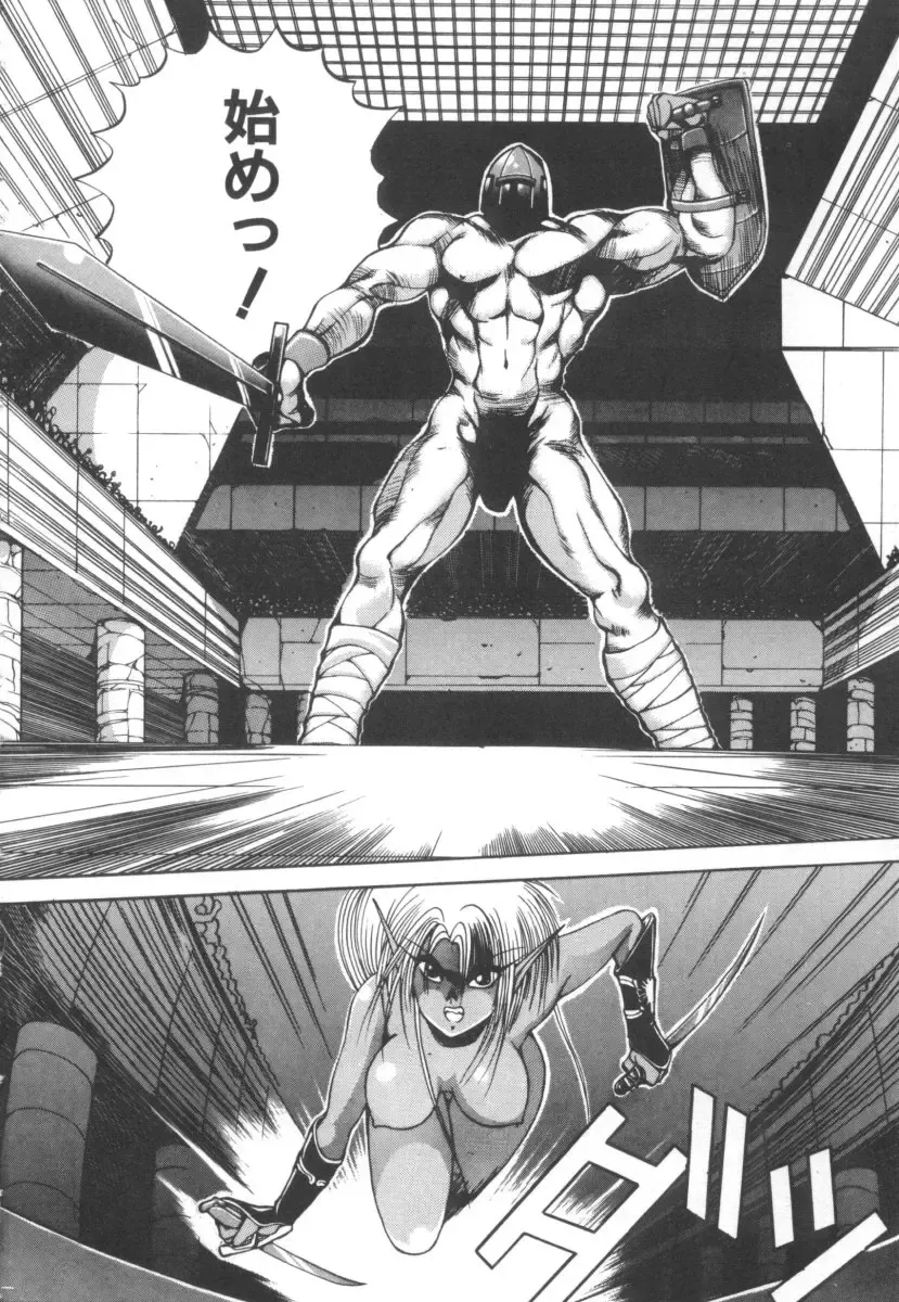 [Fujisaki Makoto] Dark Wirbel Vol 2 Fhentai - Page 173