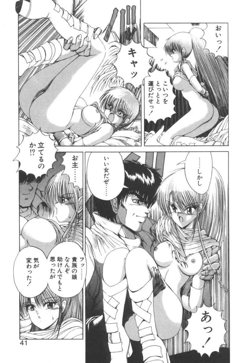 [Fujisaki Makoto] Dark Wirbel Vol 2 Fhentai - Page 41