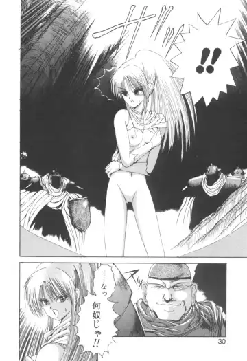 [Fujisaki Makoto] Dark Wirbel Vol 2 Fhentai - Page 30