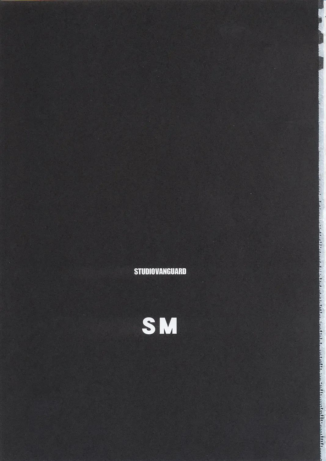 [Minazuki Juuzou - Twilight] SM Fhentai - Page 2