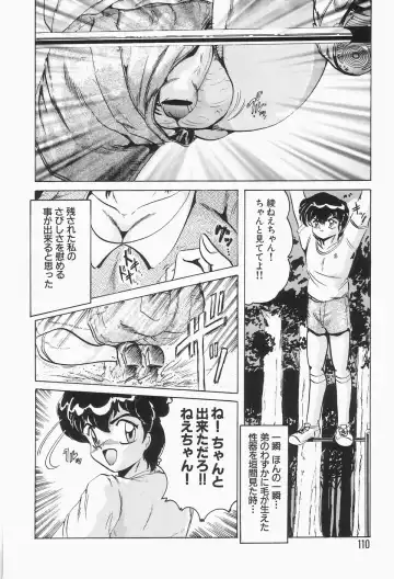 [Shimokata Kouzou] Nacht Ritter Fhentai - Page 114