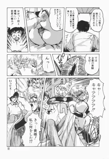 [Shimokata Kouzou] Nacht Ritter Fhentai - Page 15