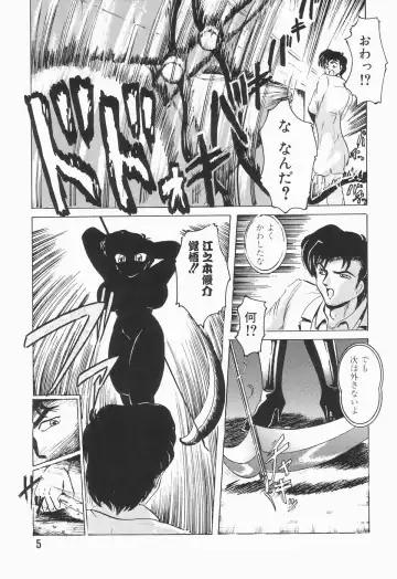 [Shimokata Kouzou] Nacht Ritter Fhentai - Page 9