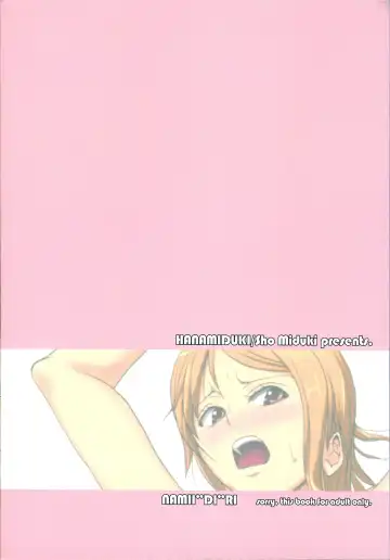 [Miduki Sho] Nami Idiri | Teasing Nami Fhentai - Page 26