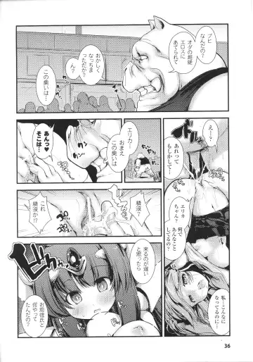 [Nixinamo Lens] Light Crusader エリカ #1~4 Fhentai - Page 66