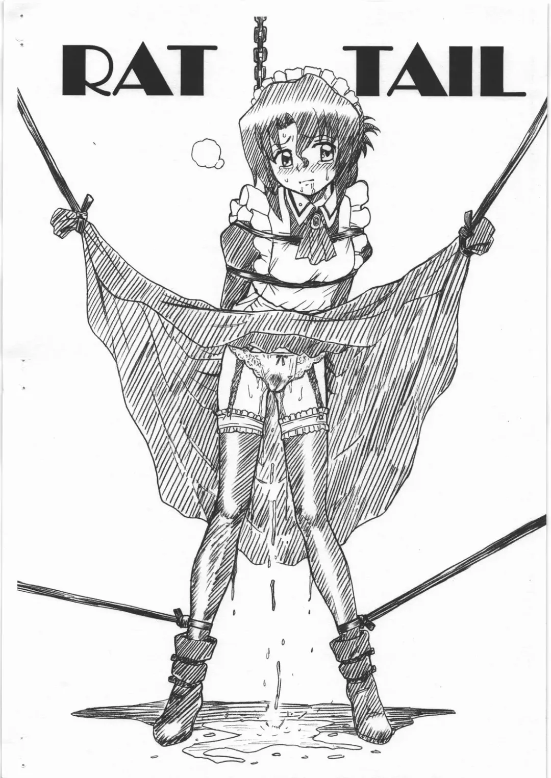 [Irie Yamazaki] HAYATE FILE Maria Gazoushuu Fhentai - Page 10