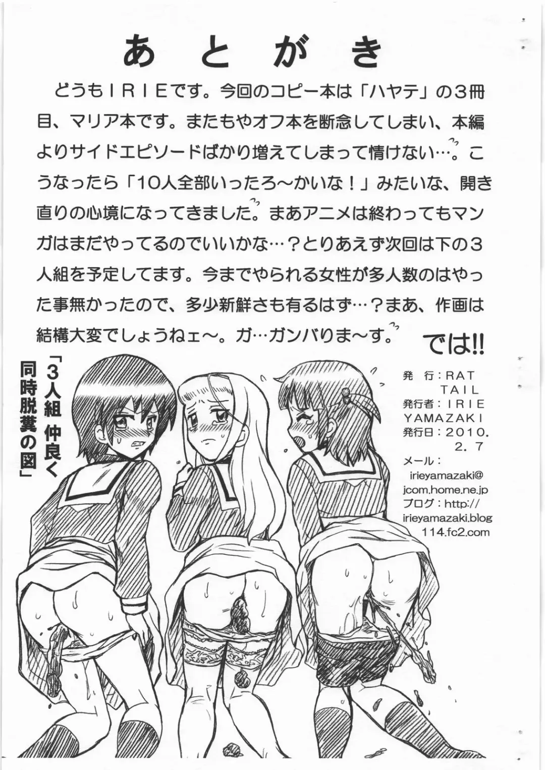[Irie Yamazaki] HAYATE FILE Maria Gazoushuu Fhentai - Page 9