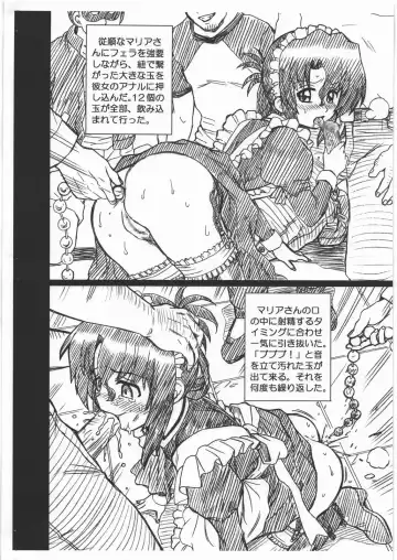 [Irie Yamazaki] HAYATE FILE Maria Gazoushuu Fhentai - Page 4