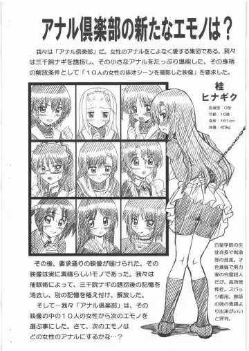 [Irie Yamazaki] HAYATE FILE Katsura Hinagiku Gazoushuu Fhentai.net - Page 2