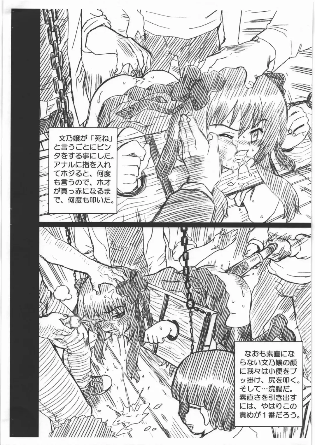 [Irie Yamazaki] MAYOINEKO FILE Serizawa Fumino Gazoushuu Fhentai.net - Page 4