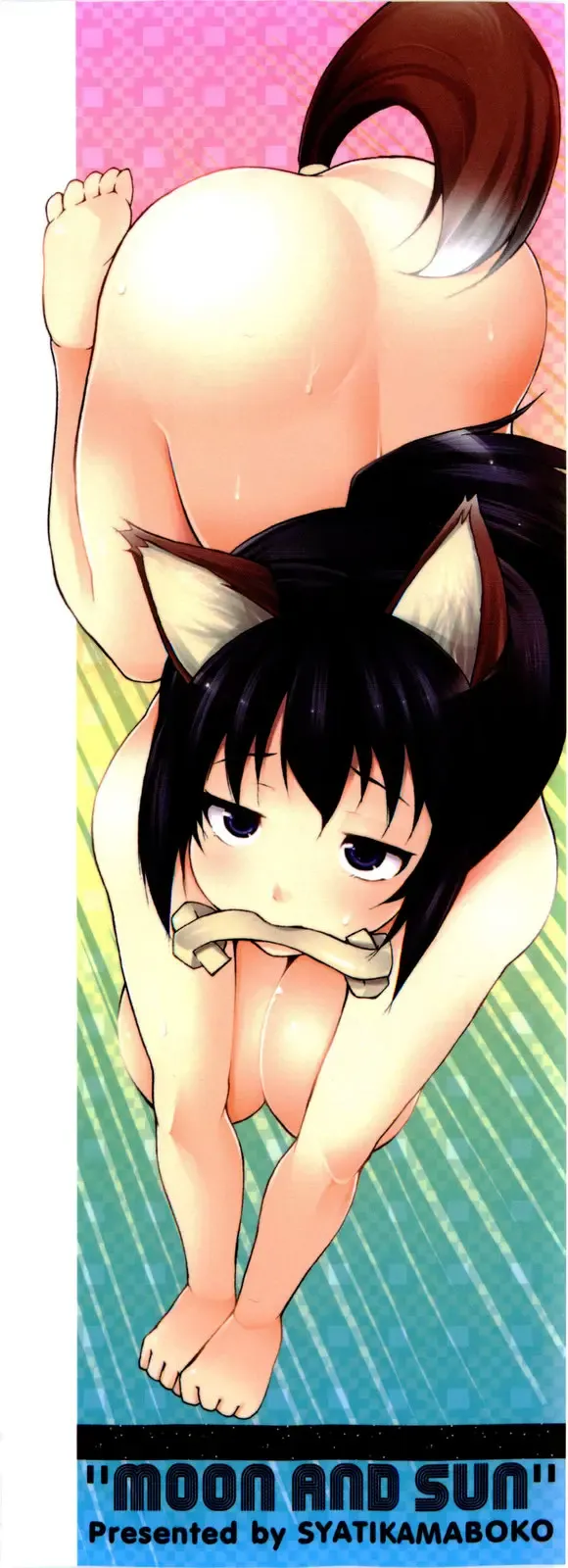 [Sakamata Nerimono] Tsuki to Taiyou Fhentai - Page 5