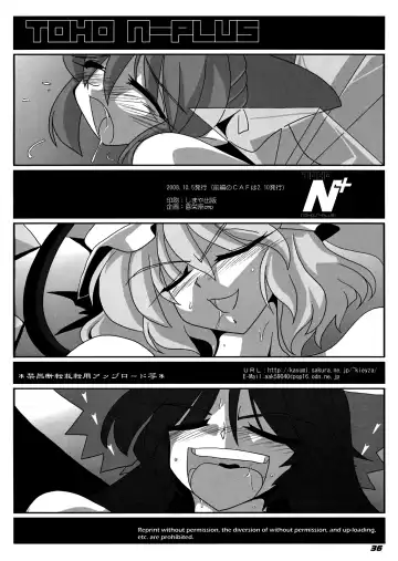 [Kieyza] TOHO N+ Cir_Fla Fhentai - Page 37