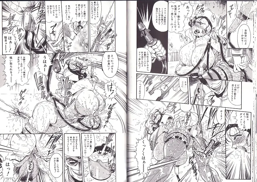 [Penname Wa Nai] Syoujyo Tyoukyouroku 2 Fhentai - Page 21