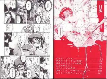 [Penname Wa Nai] Syoujyo Tyoukyouroku 2 Fhentai - Page 4