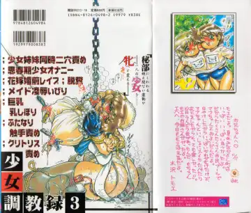 [Penname Wa Nai] Syoujyo Tyoukyouroku 3 Fhentai - Page 2