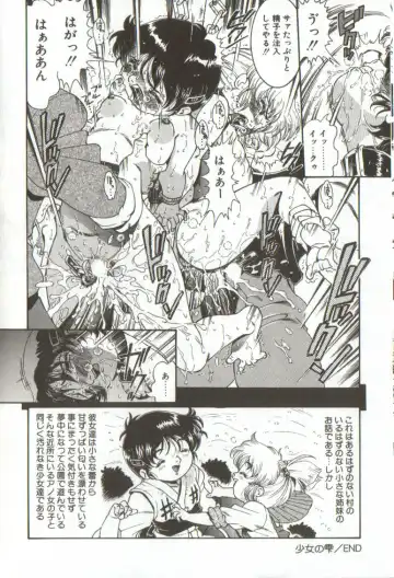 [Penname Wa Nai] Syoujyo Tyoukyouroku 3 Fhentai - Page 30