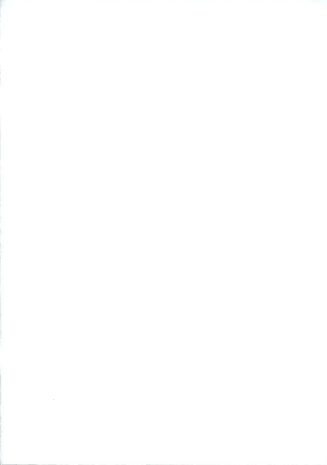 [Yaburebouki Akuta] Touhou Shoujo Saiin EX - Mahou Shoujo Yonin Fhentai - Page 2