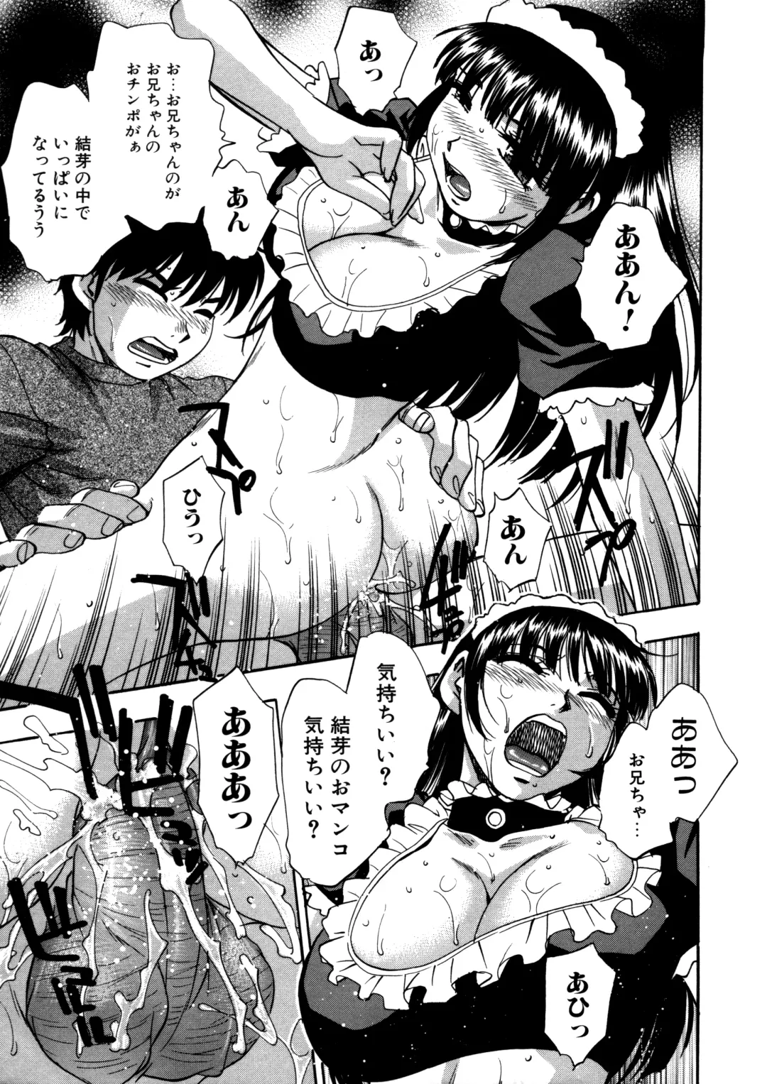 [Kirara Moe] Mitsubitashi -Nyuuwaku no Toriko- Fhentai - Page 173