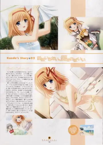 [Nishimata Aoi - Suzuhira Hiro] SHUFFLE! Visual Fan Book Fhentai - Page 31