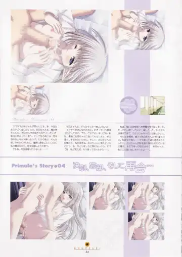 [Nishimata Aoi - Suzuhira Hiro] SHUFFLE! Visual Fan Book Fhentai - Page 55