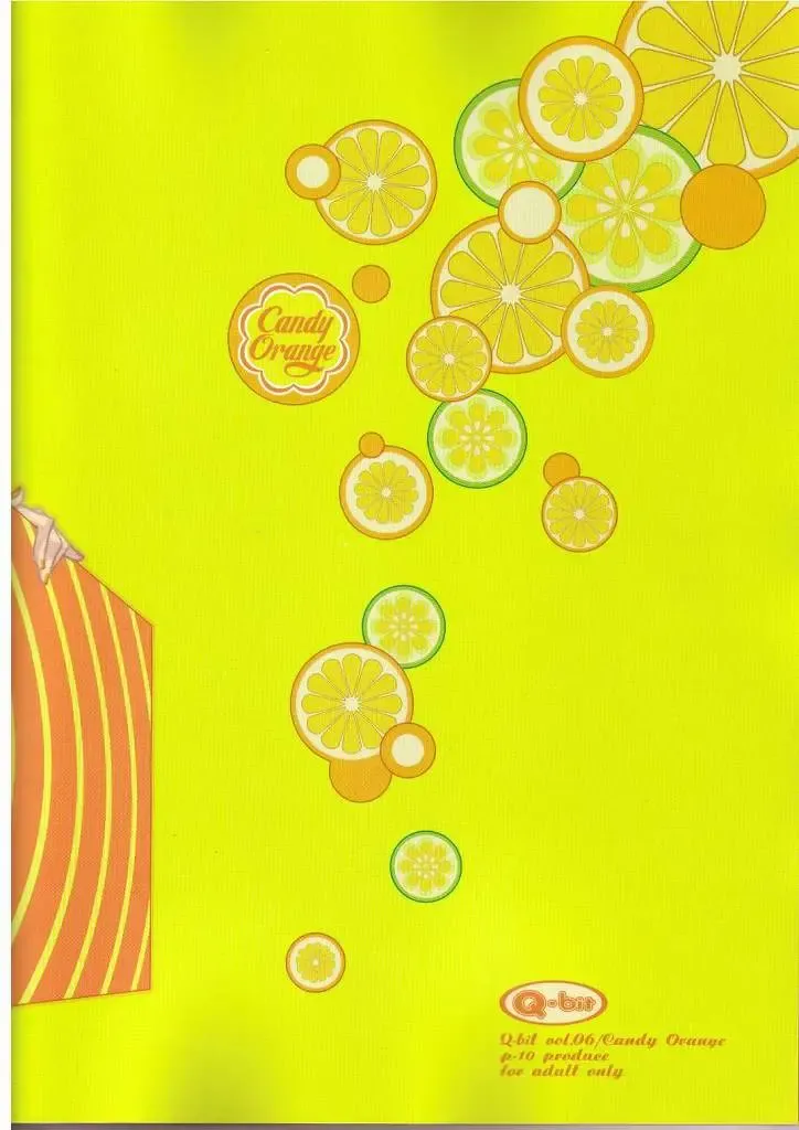 [Q-10] Q-bit Vol. 06 - Candy Orange Fhentai - Page 28