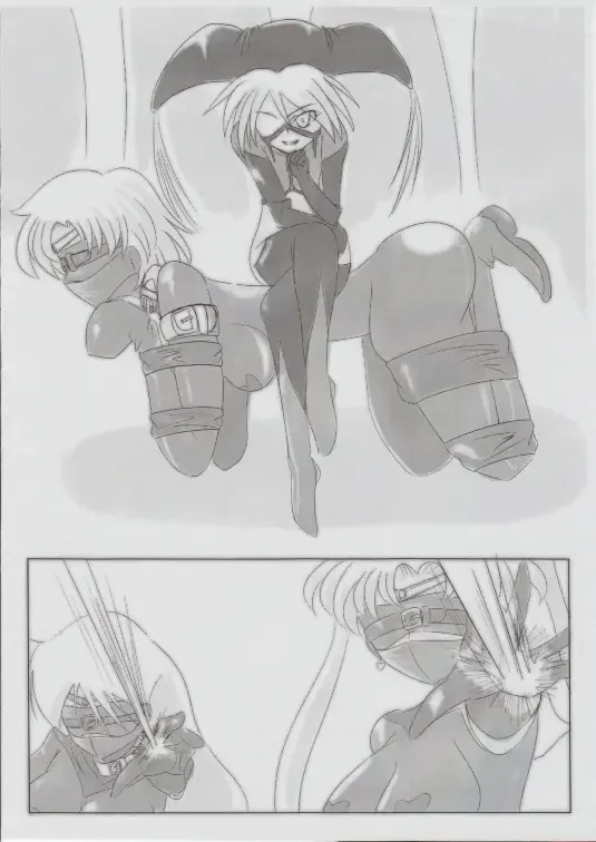 [Sch-mit] Mokusei wo Otosu Hon Fhentai - Page 5