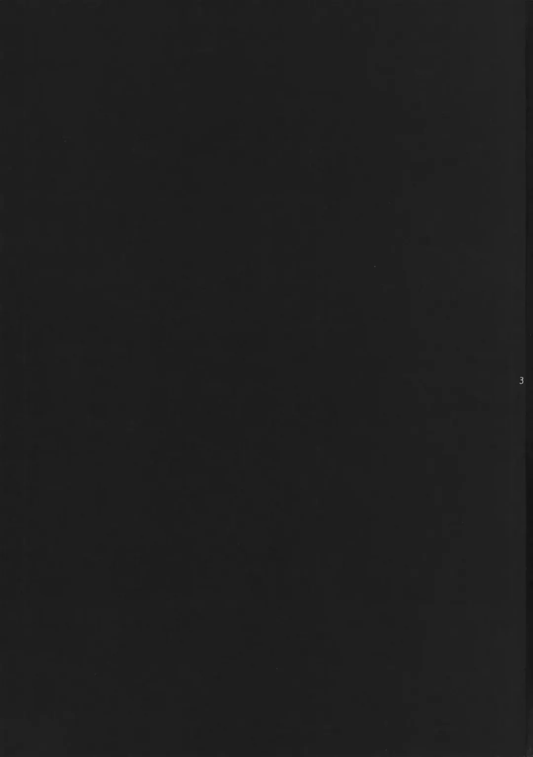 [Rit.] Paper Moon Fhentai - Page 2