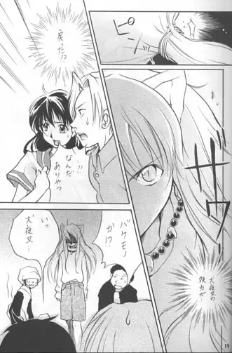 Sakura Moon Night Fhentai - Page 18