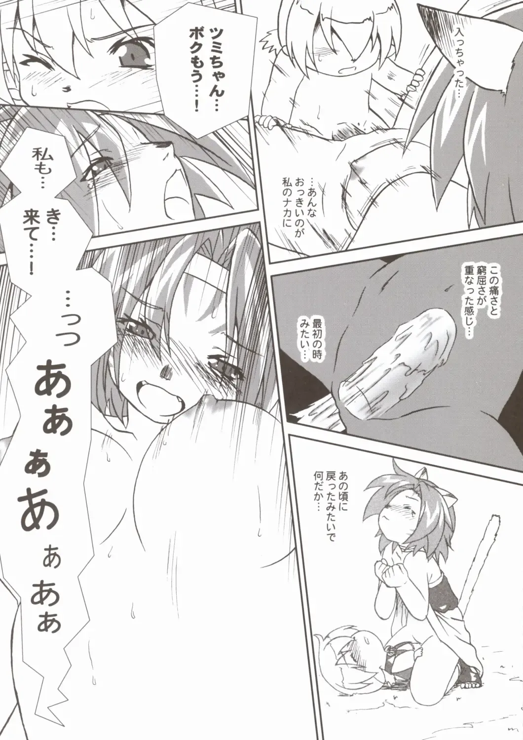 [Akikan] Mithran Tarutaru Fhentai - Page 16