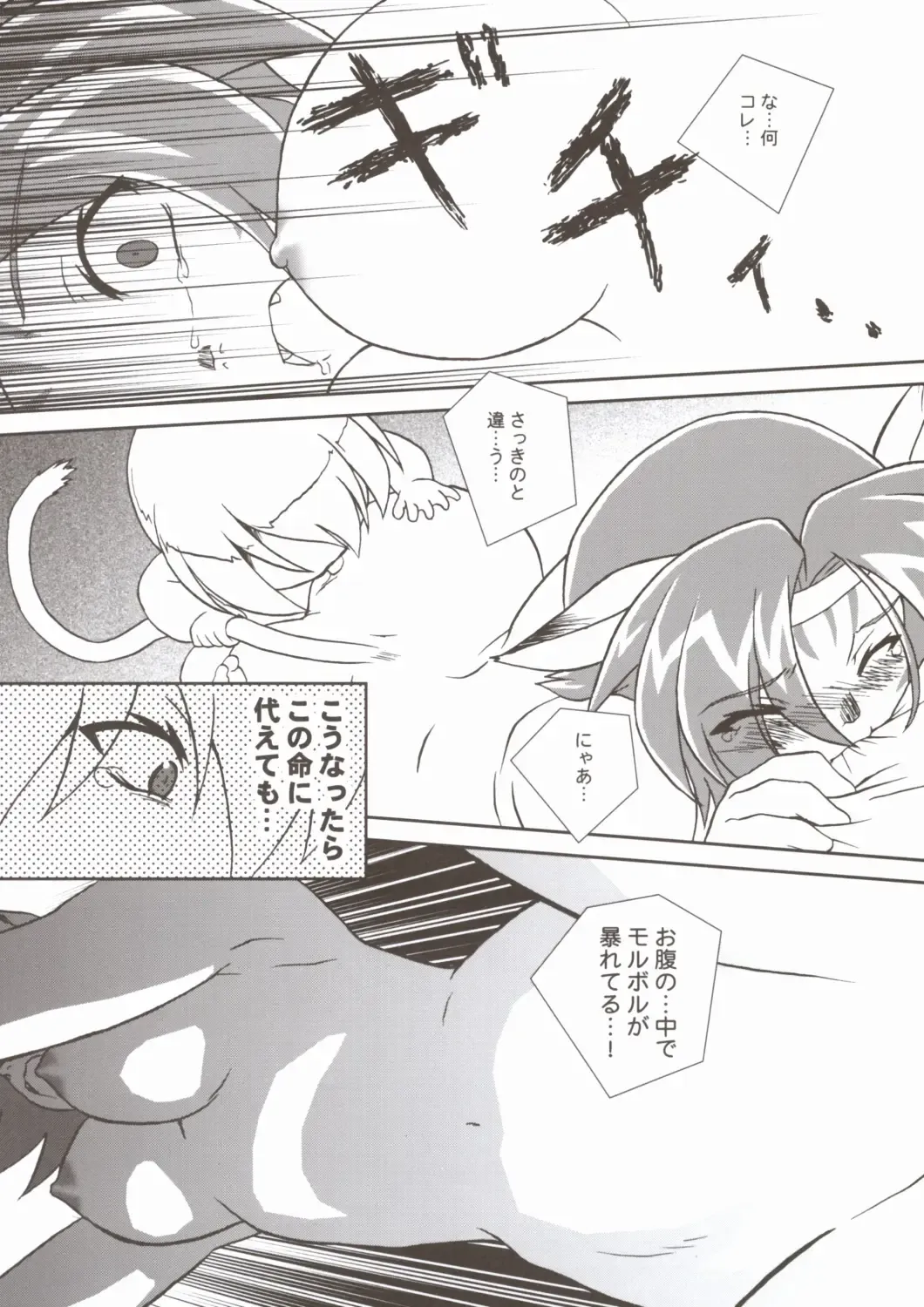 [Akikan] Mithran Tarutaru Fhentai - Page 19