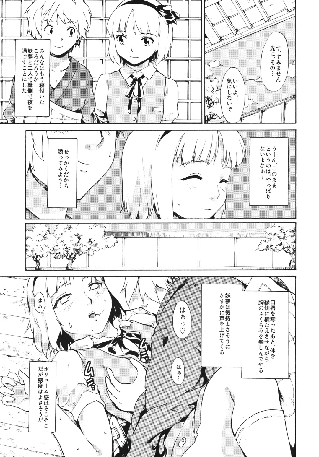 [Fujiwara Shunichi] Touhou Ukiyo Emaki - Seinaru Fune no Kiseki no Kiseki 2 Fhentai - Page 18