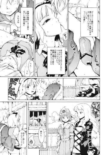 [Fujiwara Shunichi] Touhou Ukiyo Emaki - Seinaru Fune no Kiseki no Kiseki 2 Fhentai - Page 20
