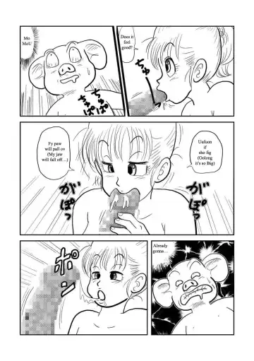 DB Gaiden - Oolong no Negai no Maki | DB Outside Story Fhentai - Page 14