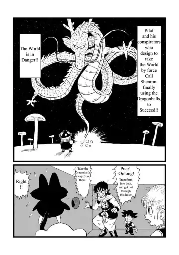 DB Gaiden - Oolong no Negai no Maki | DB Outside Story Fhentai - Page 3