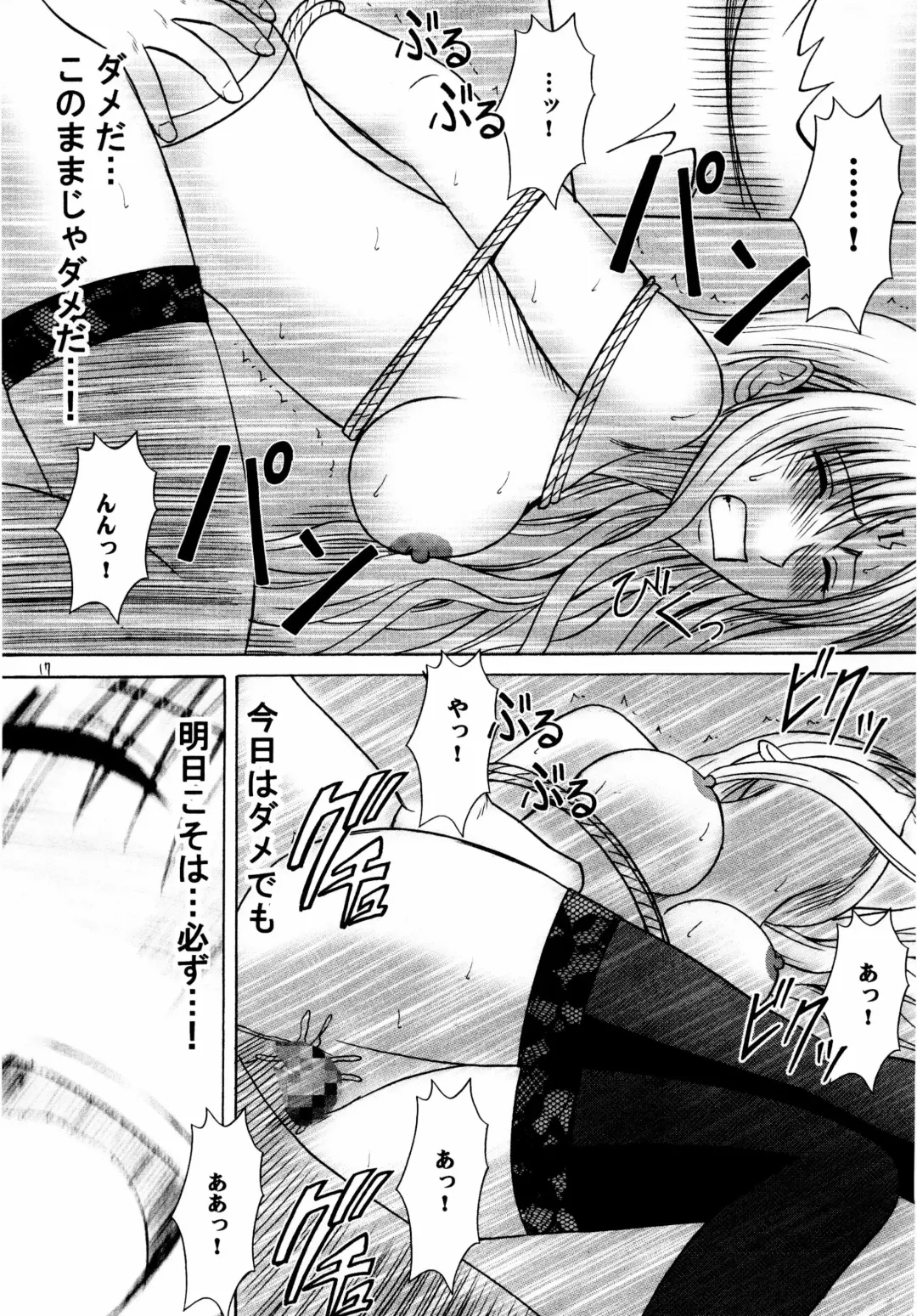 [Crimson] Sephiria Kiwami Fhentai - Page 17